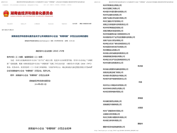 湖南省中小企业“专精特新”示范企业